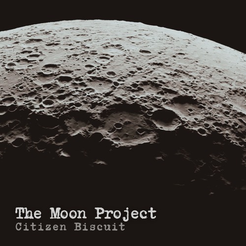 The Moon Project