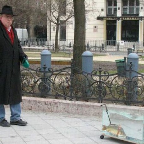 avacado toast more like libtard toast