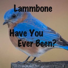 Have You Ever Been?