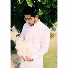Vilen_-_Chidiya