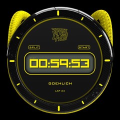 LAP:24  [GOEHLICH]