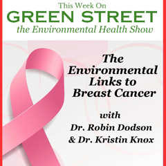 The Environmental Links to Breast Cancer