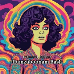 Hamzaboonam Bash