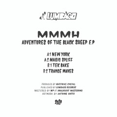 [LMBG09] B2. Trance Waves (snippet)
