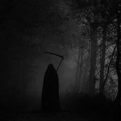 shyneboikash - grim reaper (camtong + tylur ocean) [DIGM EXCLUSIVE]