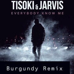 Tisoki & Jarvis- Everybody Know Me(Burgundy Remix)[FREE DOWNLOAD]