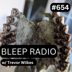 Bleep Radio #654 w/ Trevor Wilkes [Tagged and Annoyed]