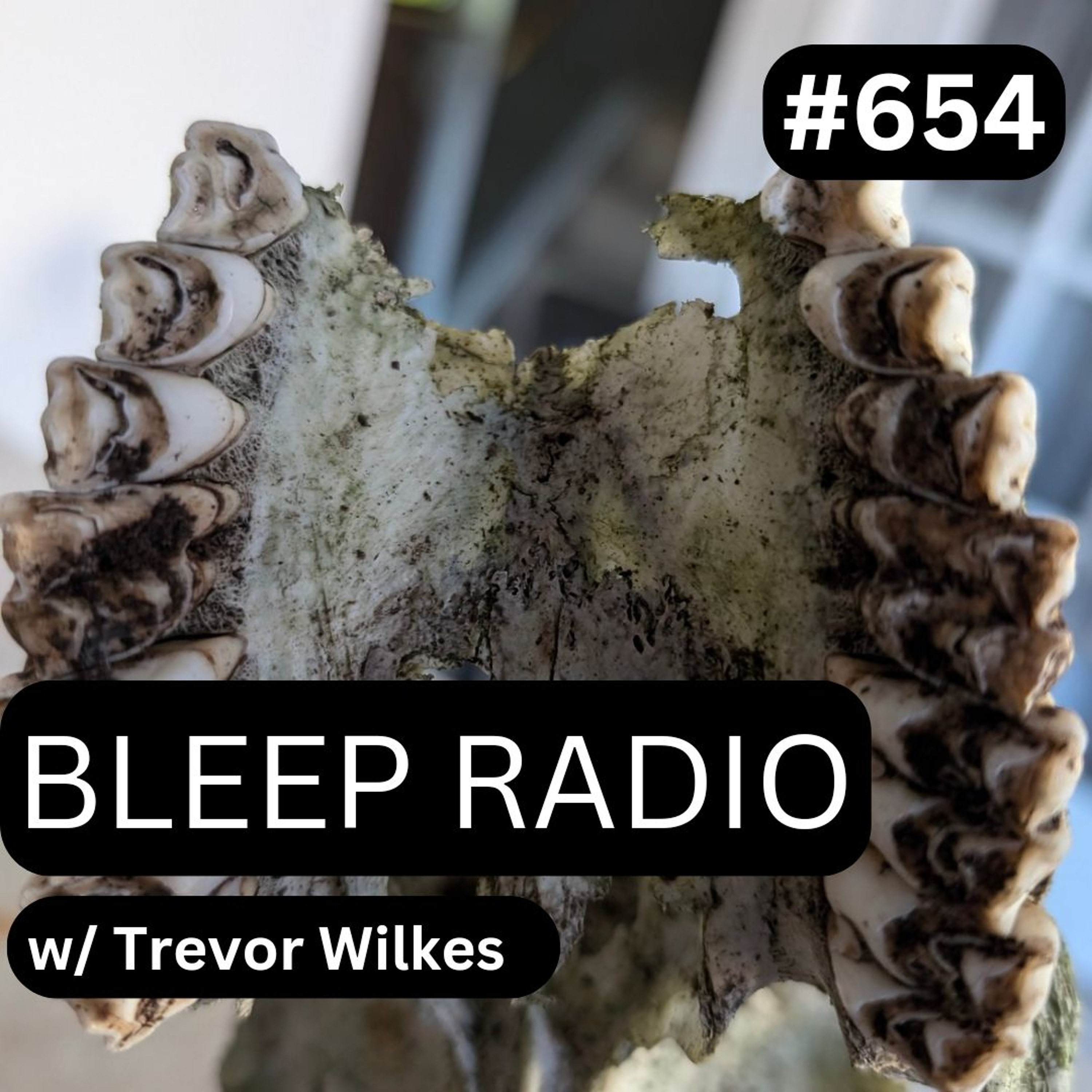 Bleep Radio w/ Trevor Wilkes