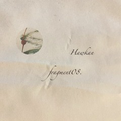 fragment08: Hawkan
