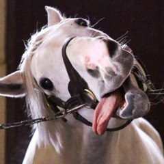 다그닥 (w/김선준) (Prod.GENM)