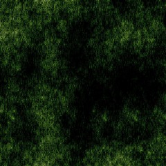 terra incognita :: 12.02.2024
