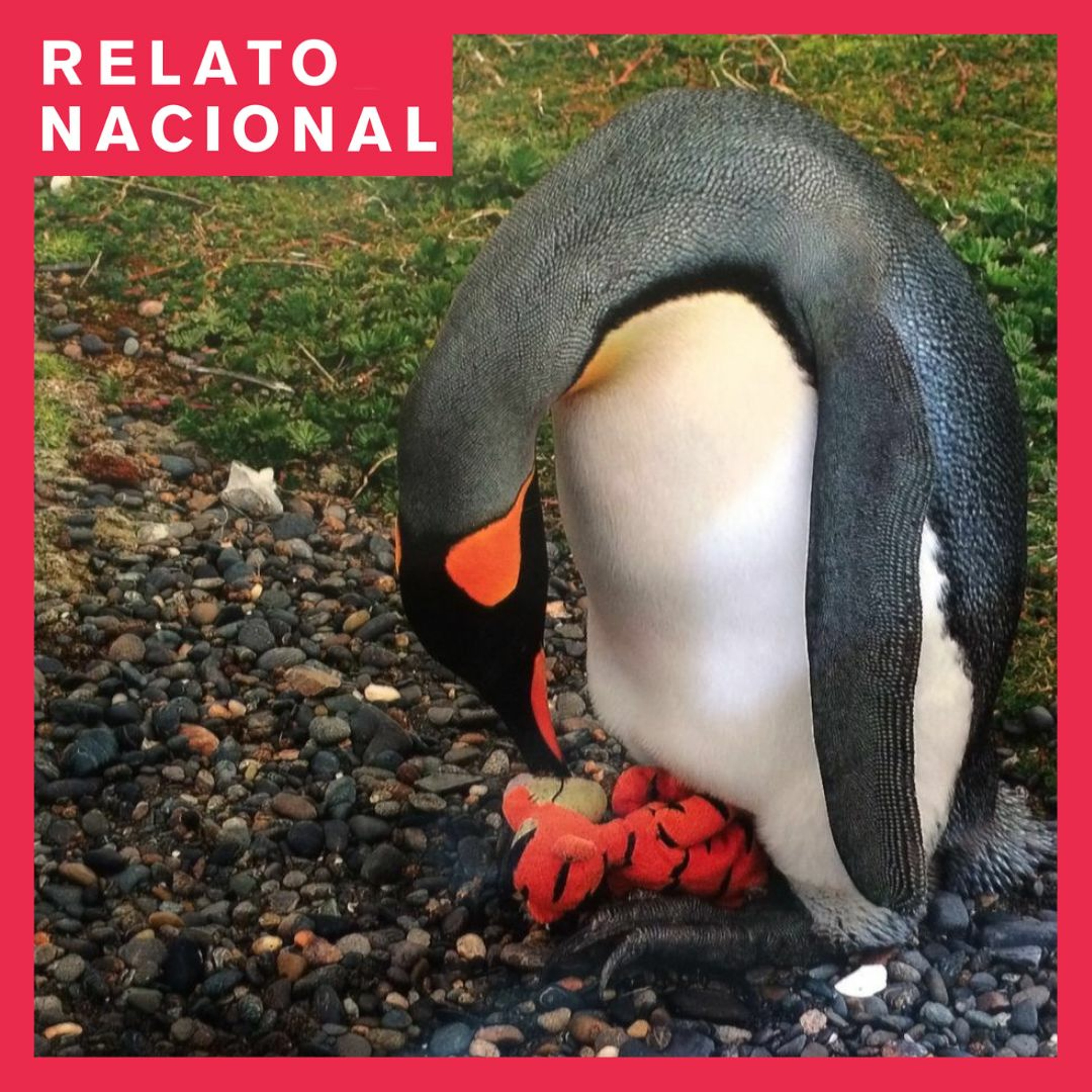 Relato Nacional