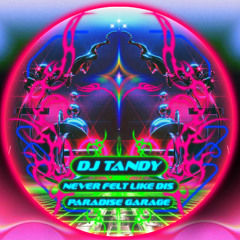DJ Tandy - Never Felt Like This