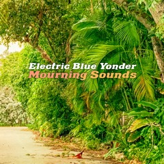 Mourning Sounds