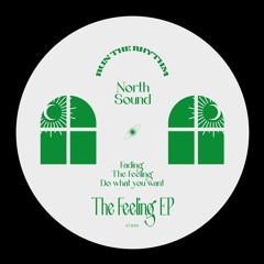 PREMIERE: NorthSound - The Feeling [Run The Rhythm]
