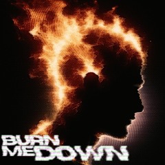 Burn Me Down (Radio Edit)