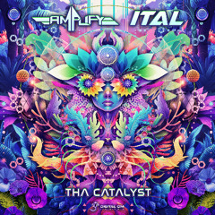 Amplify (MX) & Ital - The Catalyst