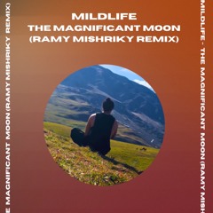 Mildlife - The Magnificent Moon ( Ramy Mishriky Remix)