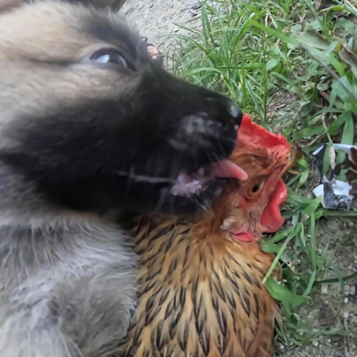 you cant talk to me anymore