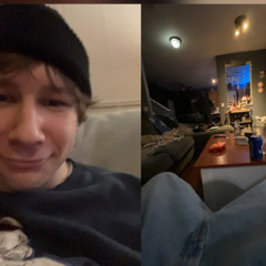 green trees, brown leaves