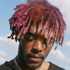 Goose Chase - Lil Uzi Vert