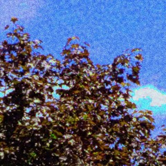 sorry kid, ride's closed