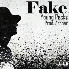 Fake (Official Audio)