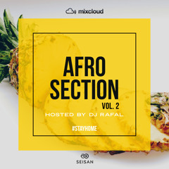 AFRO SECTION VOL.2