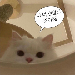 무조건 사랑