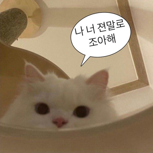 무조건 사랑