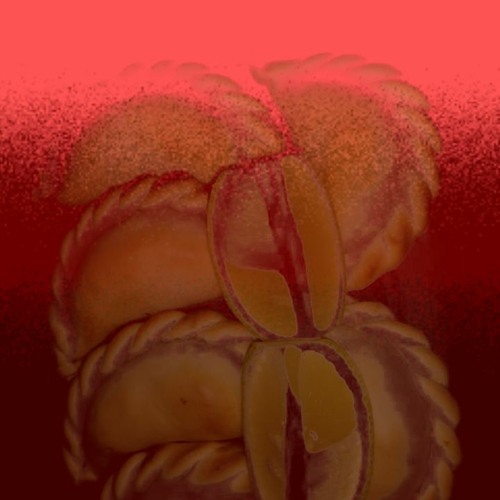 I found your reflection in my visions