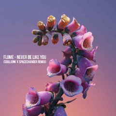 Flume - Never Be Like You (ft. Kai) [Souljunk x SPACECHANGER Remix]