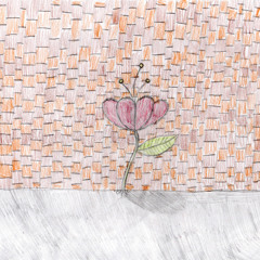 A flor que nasceu na calçada