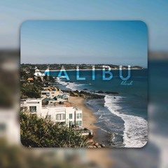 Malibu - LilArsh (Credit By Chase Extase)