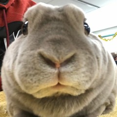 Seaofvoices-dnb remix