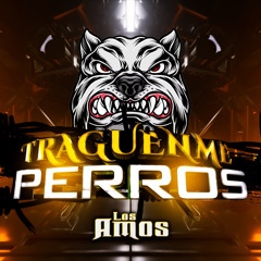 Traguenme Perros
