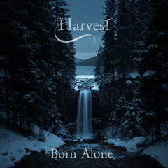 Born Alone