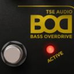TSE BOD v3
