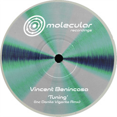 Tuning (Danilo Vigorito Remix)