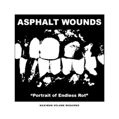 PORTRAIT OF ENDLESS ROT