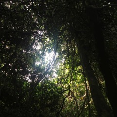 em có còn nhung nhớ không?