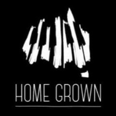 Leandrozo do Beat - Home Grown