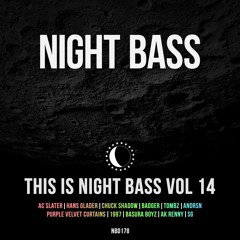 This Is Night Bass Volume 14