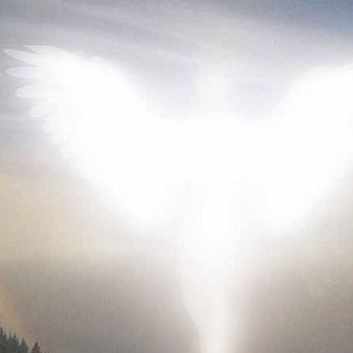 no point in waiting (slowed)