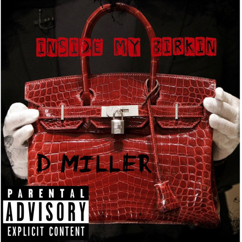 Dmiller - Inside My Birkin by DMiller
