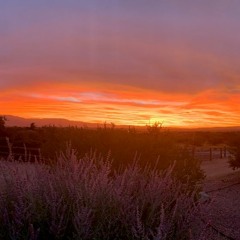 Face Your Flames Kay Mott/Paul deMarco