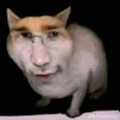 Jastrząb