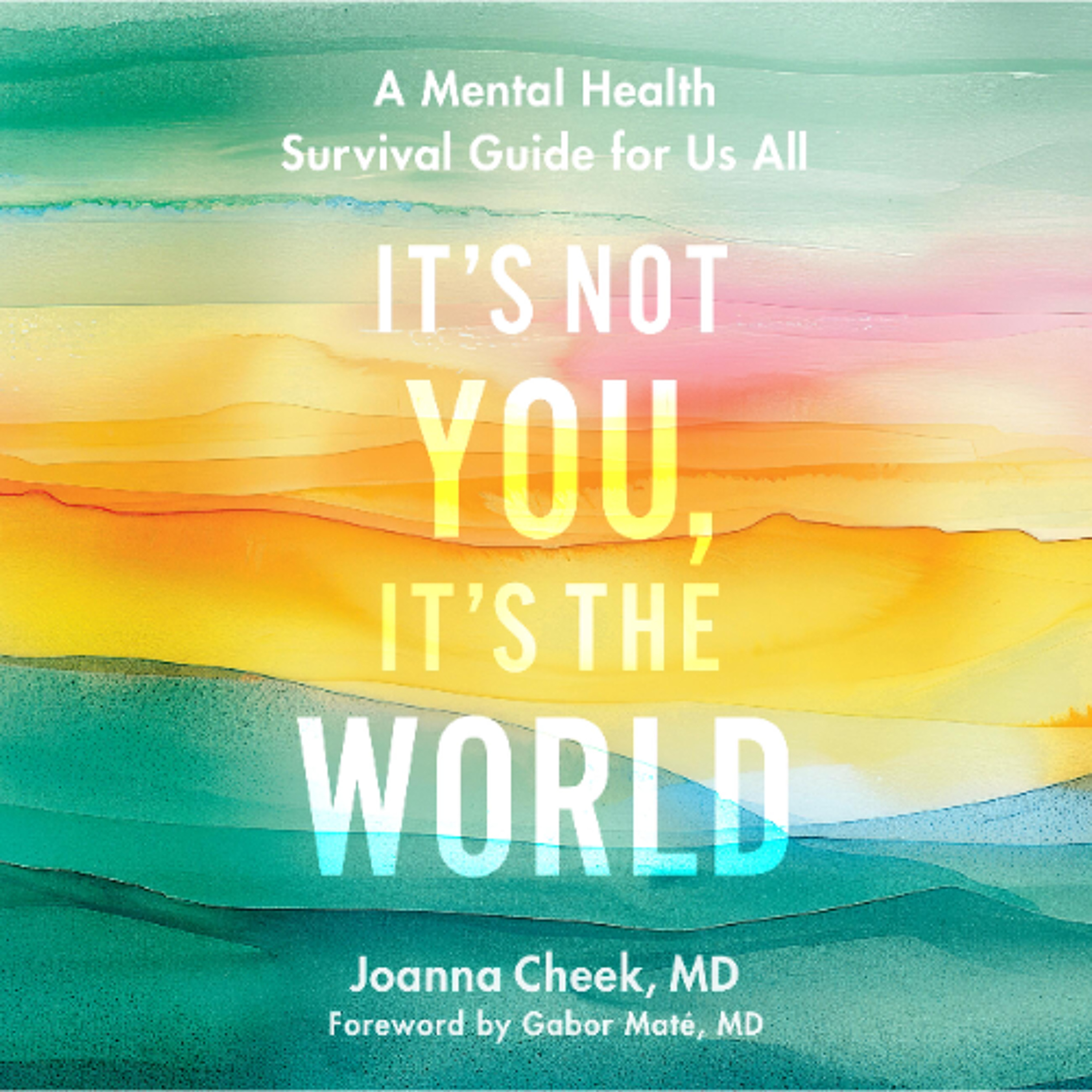 It's Not You, It's the World by Joanna Cheek, M.D. Read by Eleanor Parton