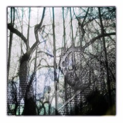 CRUDE Exclusive: Eden Aurelius - shed my skin
