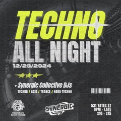 LINK ONE @ SYNERGIC TECHNO ALL NIGHT - Dec. 28, 2024